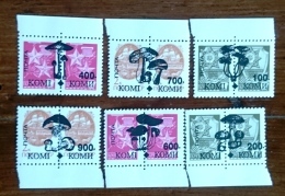 RUSSIE- Ex URSS Champignons Mushrooms, Setas. 6 Valeurs Emises En 1996. ** MNH (13) - Paddestoelen