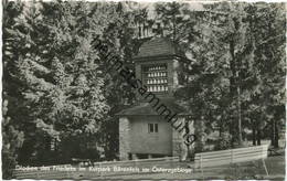 Bärenfels - Glocken Des Friedens Im Kurpark - Foto-AK - Verlag W. Kenne Dresden - Altenberg