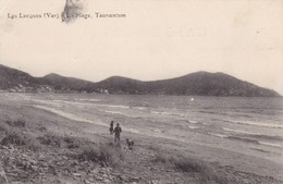 83 / LES LECQUES / LA PLAGE / TAUROENTUM - Les Lecques