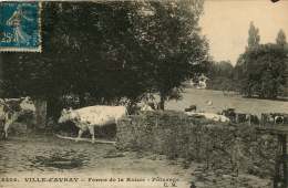 92 VILLE D'AVRAY  FERME DE LA RONCE  PATURAGE - Ville D'Avray