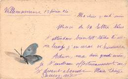 Illustration - Papillon Peint à La Main - 1904 - Insectes