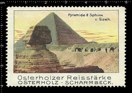 German Poster Stamp, Reklamemarke, Cinderella Vignette La Publicité Erinnofili Egypt Ägypten Pyramyd Giza Sphinx Camel - Egiptología