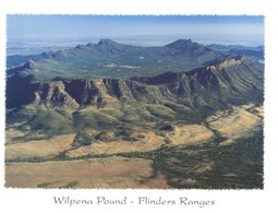 (600) Australia - SA - Wilpena Pound - Flinders Ranges