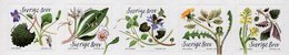 Sweden - 2018 - Nature's Larder - Flowers - Mint Self-adhesive Stamp Set - Ungebraucht