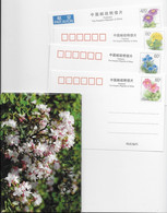 ⭐ Chine - Entiers Postaux Pochette De 4 Cartes ⭐ - Cartoline Postali