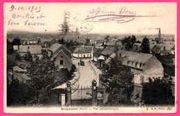 Solesmes - Vue Panoramique - Eglise - Animée - Edit. B.F. - 1905 - Solesmes