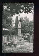 CPM Neuve 88 URIMENIL Le Monument Aux Morts - Urimenil