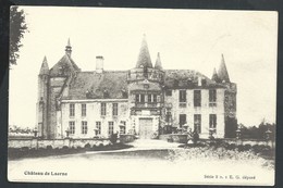 +++ CPA - LAARNE - Château De LAERNE - Kasteel   // - Laarne