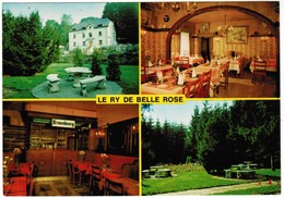 La Ry De Belle Rose, Grupont  (pk44561) - Tellin