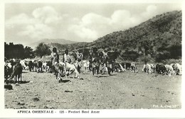 610 " AFRICA ORIENTALE PASTORI BENI AMER" CART ANIM NON SPED. - Non Classés