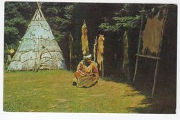 ROCKY POINT, Prince Edward Island, Canada, Firs, Birch Bark Wigwam, MICMAC Indian Village, Old Chrome Postcard - Sonstige & Ohne Zuordnung