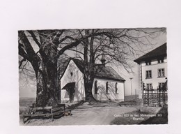 CPM PHOTO GASTHAUS PENSION, MENZINGEN En 1963! (voir Timbre) - Menzingen