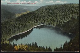 Glaswaldsee I. Schw., 846 M U M - Bad Rippoldsau - Schapbach