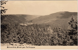 Bärenfels, Blick Zur Tellkoppe  -  (DDR) - Altenberg