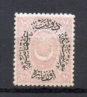 TURCHIA 1876 - 10 Pa LILLA - MNH ** - 1837-1914 Esmirna