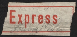 EXPRESS - Vignette Label - 1902 Hungary Ungarn Hongrie - Used - Machine Labels [ATM]