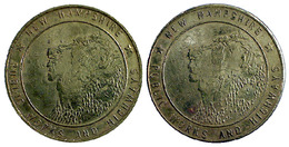 01104 GETTONE JETON TOKEN TRASPORTO TRANSIT NEW HAMPSHIRE OLD MAN OF THE MONìNTAIN - Other & Unclassified