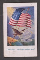 Old Glory - The World Salutes You - Mailed In England 1917 - Autres & Non Classés