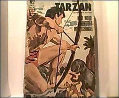 Tarzan Taschenbuch Nr. 2 Bildschriftenverlag BSV 1971 Comic - Sonstige & Ohne Zuordnung