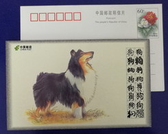 Scottish Collie Sheepdog,China 2008 World Famous Dog Advertising Pre-stamped Card - Cani