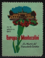 Bath Spa Hydrotherapy Tourism Stamp Exhibition - FLOWER Carnation ITALY MONTECATINI  1962 - Bäderwesen