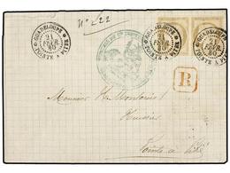 413 GUADALUPE. Ce.20. 1880 (Feb. 21). Internal Cover Sent Registered Within POINTE A PITRE Franked By Imperforate Ceres  - Other & Unclassified