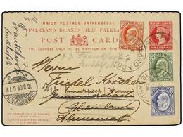 511 FALKLAND. Sg.43, 44, 46. 1909. FALKLAND To GERMANY. <B>1d.</B> Red Postal Stationery Card Uprated By <B>1/2 D., 1d.< - Altri & Non Classificati