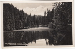 Das Schortetal Bei Ilmenau-Stützerbach - Abendstille Am Knöpfelstaler-Teich - (1953) - Ilmenau