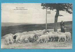 CPA 7 - Métier Berger Moutons Au Pied Du Mont-Audouze MILLEVACHES EN CORREZE 19 - Other & Unclassified