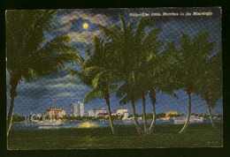 The Palm Beaches In The Moonlight, Palm Beach, FL - Unused But With Writing - Palm Beach