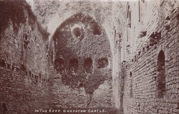 Postcard In The Keep Chepstow Castle By EG Ballard Photographer Of Welsh Street Chepstow RP My Ref  B12108 - Monmouthshire