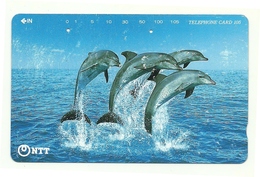 Giappone - Tessera Telefonica Da 105 Units T459 - NTT - Dolphins