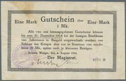 Deutschland - Notgeld - Ehemalige Ostgebiete: Westpreußen, Notgeld Von 1914, 43 Scheine Aus Briesen, - Autres & Non Classés