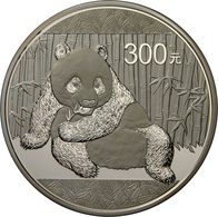 China - Volksrepublik: 300 Yuan 2015, Silber Panda, 1 Kg 999/1000 Silber. Inklusive Zertifikat, Etui - Cina