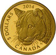 Kanada - Anlagegold: Elizabeth II 1952 -,: 5 Dollars 2014, Cougar (Puma), KM# 1756, 1/10 OZ (3,14 G) - Canada