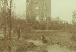 Dour Le Belvédère (Chien) - Dour