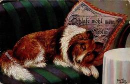 Thiele, Arthur Hund Colli Verlag TSN 1127 Künstlerkarte 1911 I-II (Ecken Abgestoßen) Chien - Thiele, Arthur