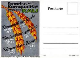 LANDWIRTSCHAFT - KALI-DÜNGER I - Exhibitions