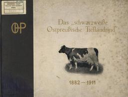 Landwirtschaft Buch Das Schwarzweiße Ostpreußische Tieflandrind Hrsg. Herdbuchgesellschaft 61 Seiten Viele Abbildungen I - Ausstellungen