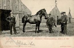 Landwirtschaft Halle (O4002) Wanderausstellung  1901 I-II Paysans - Esposizioni