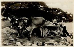 Landwirtschaft Ochsenkarren Foto AK I-II Paysans - Exhibitions