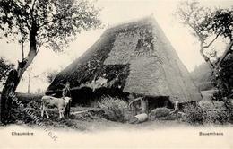 Landwirtschaft Schweiz Bauernhaus Chaumiere I Paysans - Exhibitions