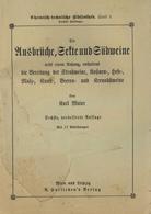 Wein Buch Die Ausbrüche Sekte Und Südweine Maier, Karl 1922 A. Hartlebens Verlag 183 Seiten Einige Abbildungen II (fleck - Exhibitions