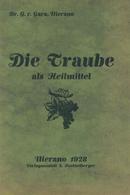 Wein Buch Die Traube Als Heilmittel Gara, G. V. Dr. 1928 Verlagsanstalt S. Poetzelberger 18 Seiten II Vigne - Exhibitions
