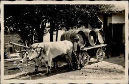 Wein Ochsenkarren Weinfässer Italien Foto AK I-II Vigne - Tentoonstellingen