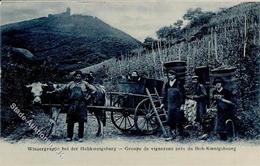 Wein Weinlese Elsass 1915 I-II Vigne - Expositions