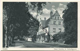 Husum - Haus Cornils Im Schlossgrund - Verlag Husumer Postkarten-Vereinigung - Husum