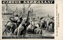 Zirkus Dresden (O8000) Sarasanir Elephanten In Der Elbe 1911 I-II - Circo