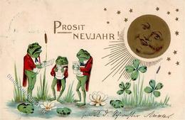 Frosch Personifiziert Neujahr  Prägedruck 1905 I-II (fleckig) Bonne Annee Grenouille - Altri & Non Classificati