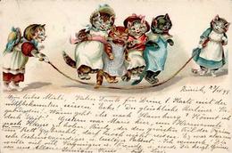 Katze Personifiziert Verlag TSN 55 Künstlerkarte 1899 I-II Chat - Gatti